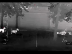 थर्मल इमेजिंग मोनोकुलर